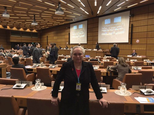 Louise van Deth bij de VN in 2017