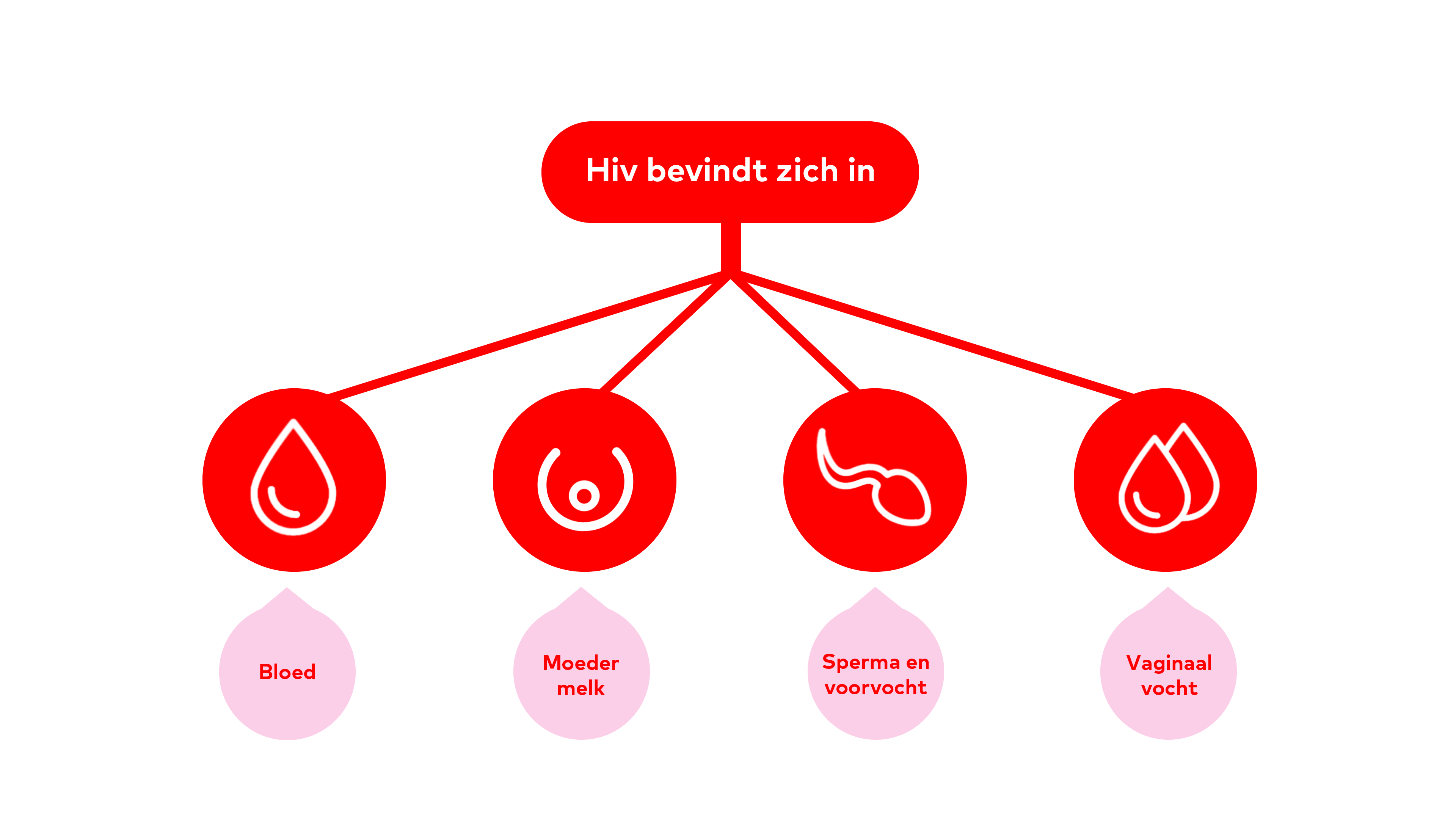 Hoe loop je hiv op? Aidsfonds afbeelding